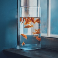 Player avatar for Juan D.